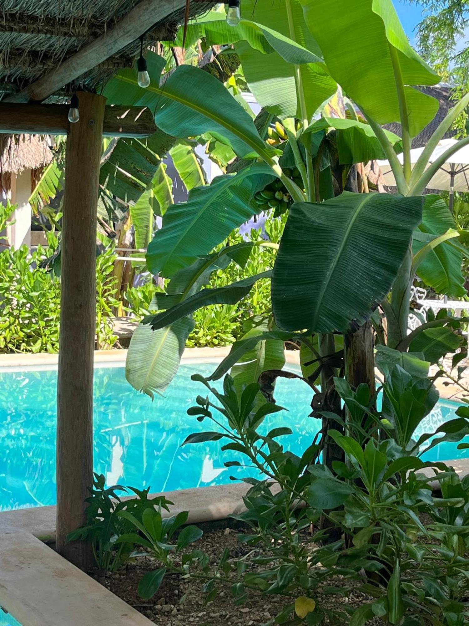Villas Tikuch Luaran gambar