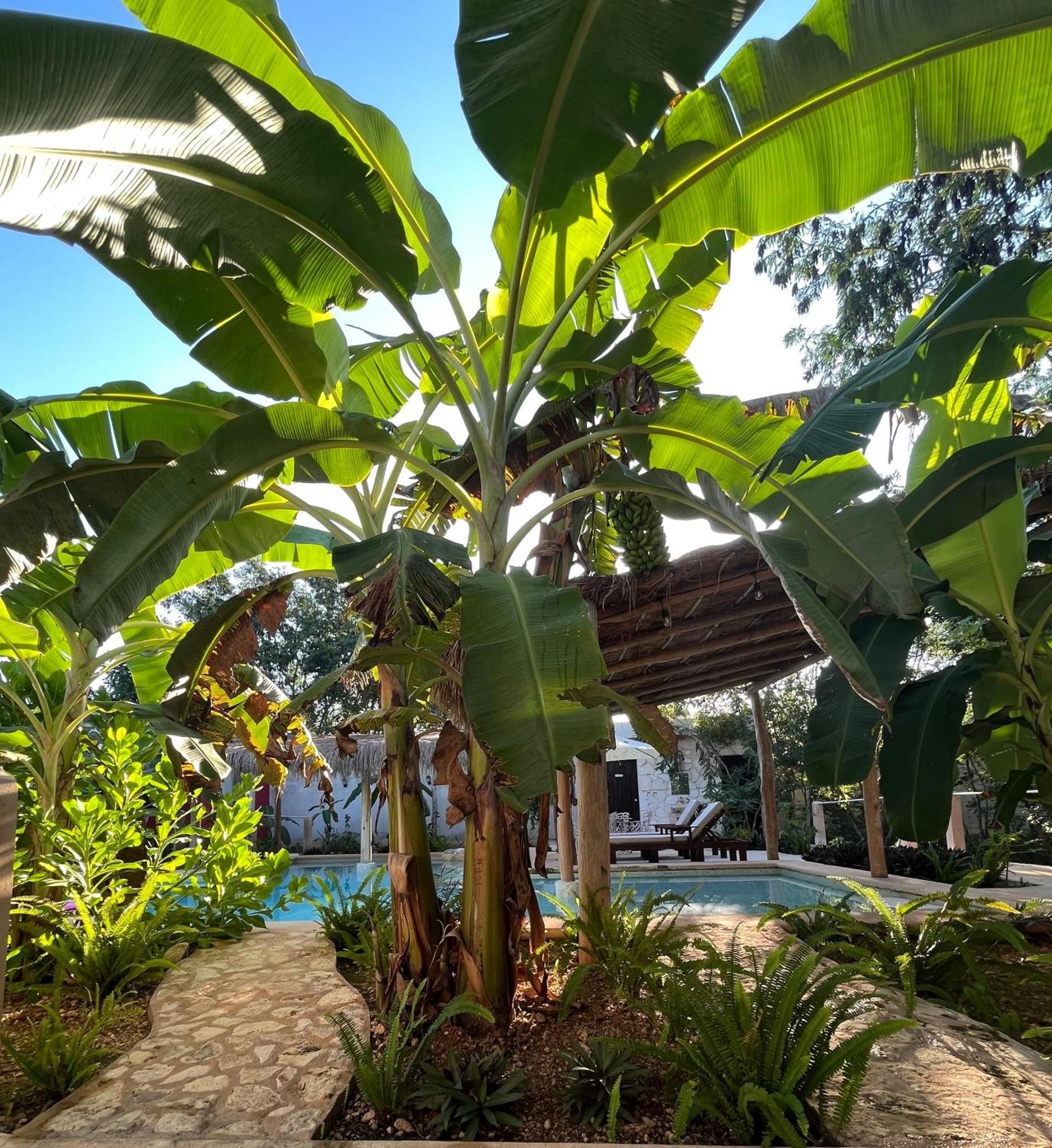 Villas Tikuch Luaran gambar
